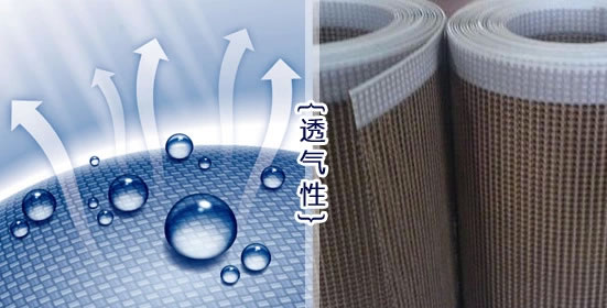 特氟龍網(wǎng)格傳送帶 耐高溫網(wǎng)格特氟龍輸送帶